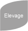 Élevage