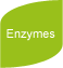 Enzymes